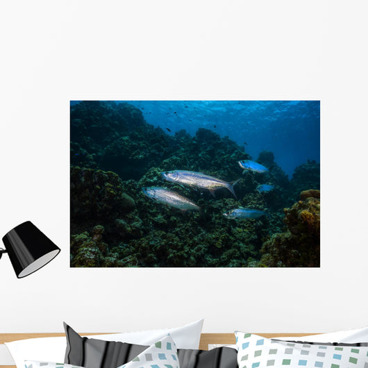 Tarpon Pass Reef Grand Wall Decal