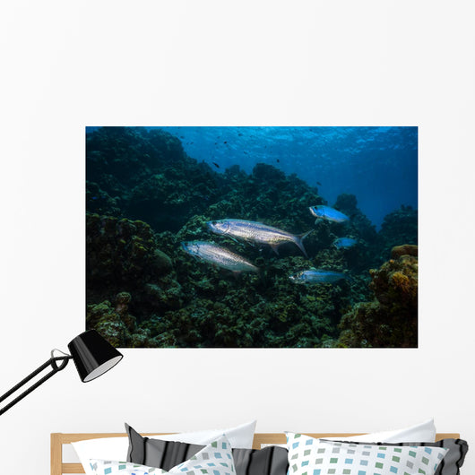 Tarpon Pass Reef Grand Wall Decal
