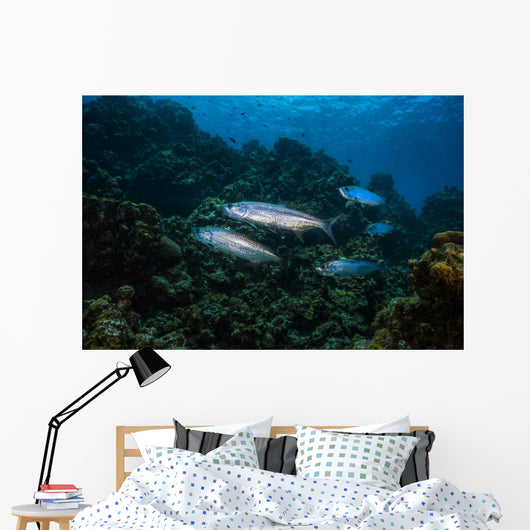 Tarpon Pass Reef Grand Wall Decal