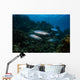 Tarpon Pass Reef Grand Wall Decal