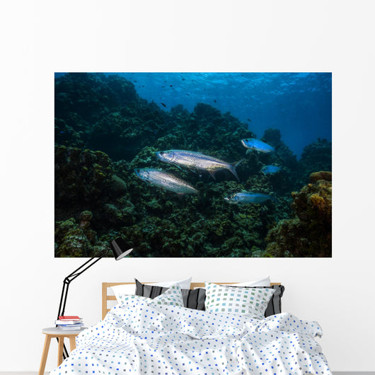 Tarpon Pass Reef Grand Wall Decal