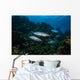 Tarpon Pass Reef Grand Wall Decal