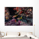 Red Snapper Swimming through Wall Decal