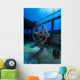 Top Uss Kittiwake Shipwreck Wall Decal