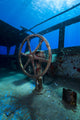 Top Uss Kittiwake Shipwreck Wall Decal