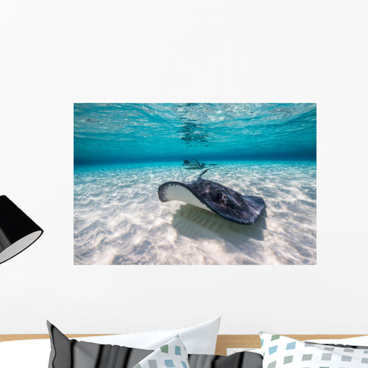 Southern Stingrays Sandbar Fin Wall Decal