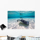 Southern Stingrays Sandbar Fin Wall Decal
