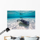 Southern Stingrays Sandbar Fin Wall Decal