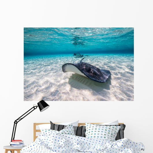 Southern Stingrays Sandbar Fin Wall Decal