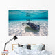Southern Stingrays Sandbar Fin Wall Decal