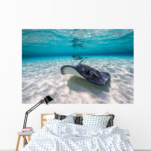 Southern Stingrays Sandbar Fin Wall Decal