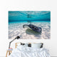 Southern Stingrays Sandbar Fin Wall Decal