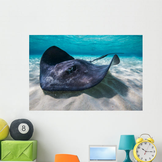 Southern Stingray Sandbar Close-up Wall Decal