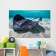 Southern Stingray Sandbar Close-up Wall Decal