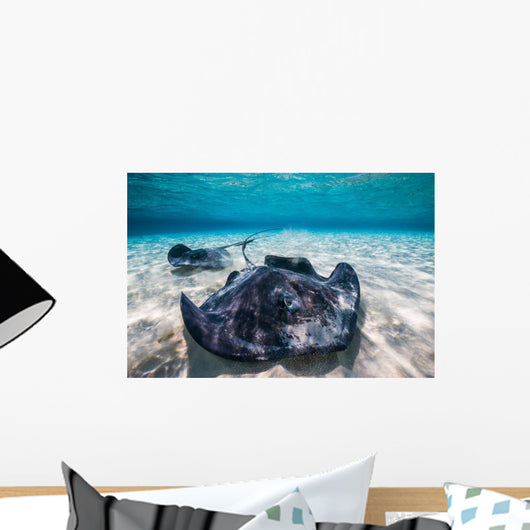 Southern Stingrays Sandbar Close-up Wall Decal