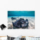 Southern Stingrays Sandbar Close-up Wall Decal
