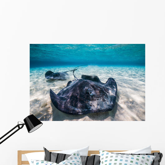 Southern Stingrays Sandbar Close-up Wall Decal