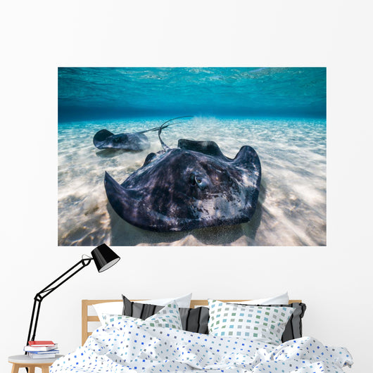 Southern Stingrays Sandbar Close-up Wall Decal