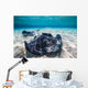 Southern Stingrays Sandbar Close-up Wall Decal