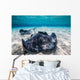 Southern Stingrays Sandbar Close-up Wall Decal