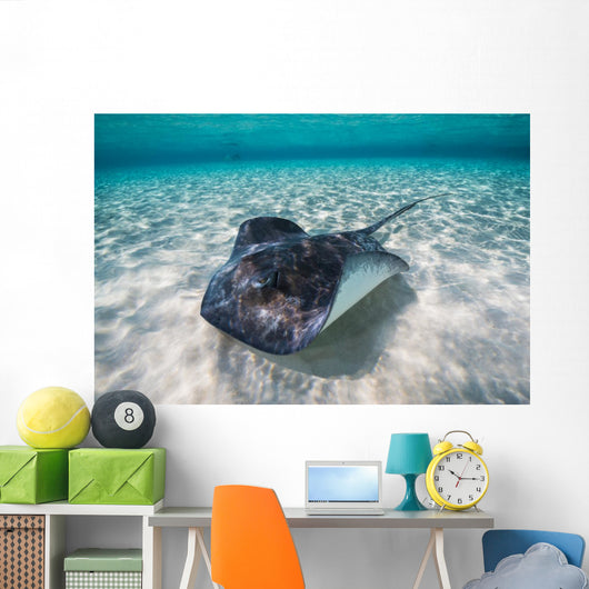 Southern Stingray Sandbar Swimming Wall Decal