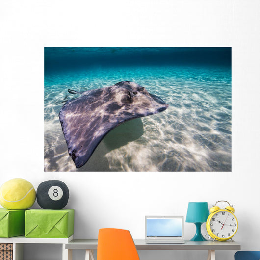 Southern Stingray Sandbar Wall Decal