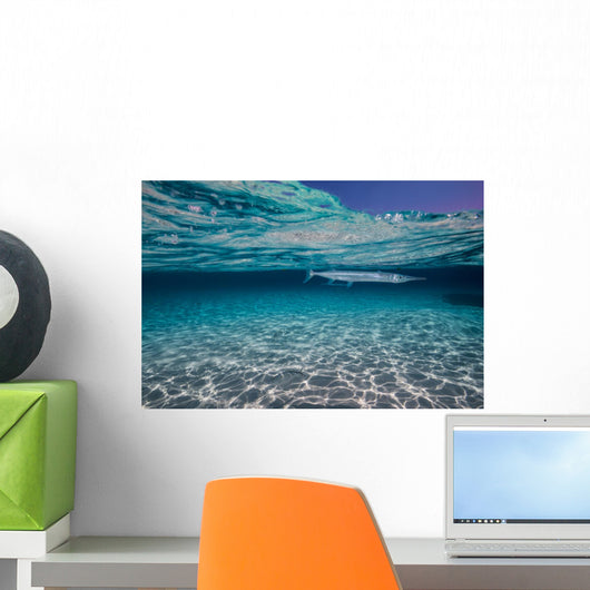 Needlefish Hiding Just beneath Wall Decal