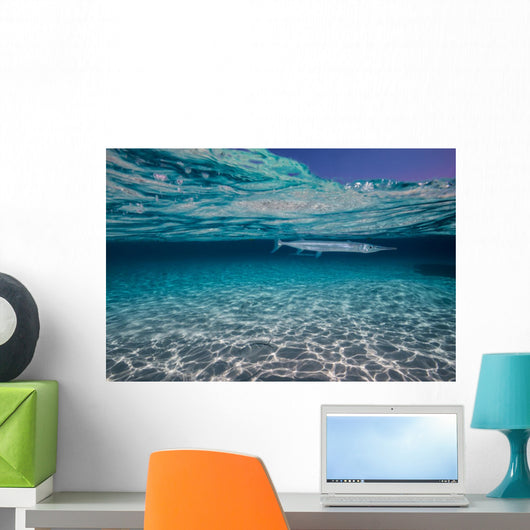 Needlefish Hiding Just beneath Wall Decal