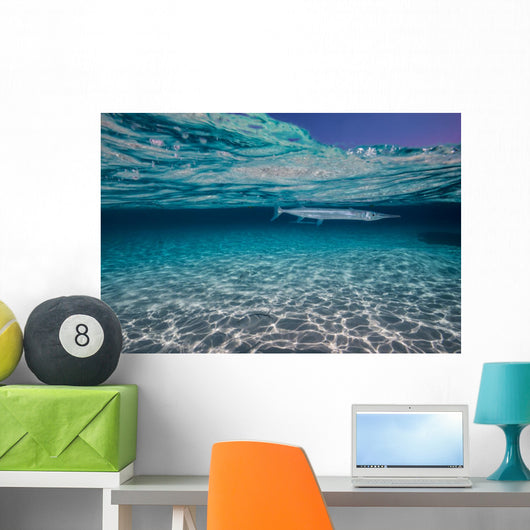 Needlefish Hiding Just beneath Wall Decal
