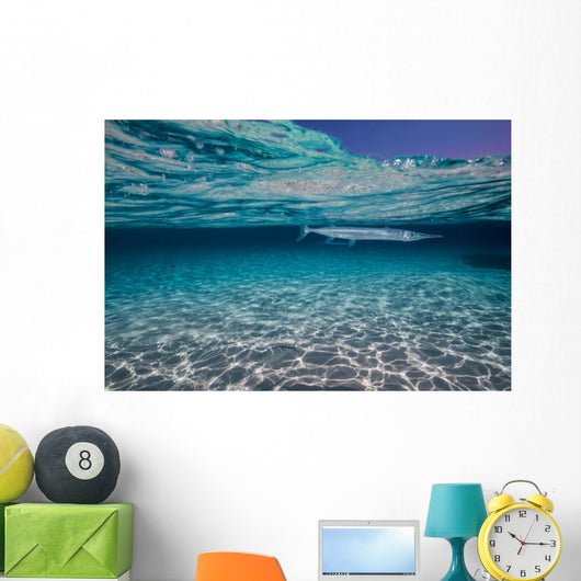 Needlefish Hiding Just beneath Wall Decal