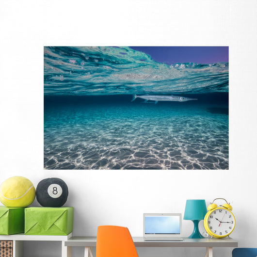 Needlefish Hiding Just beneath Wall Decal