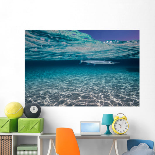 Needlefish Hiding Just beneath Wall Decal