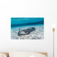 Southern Stingrays Sandbar Wall Decal