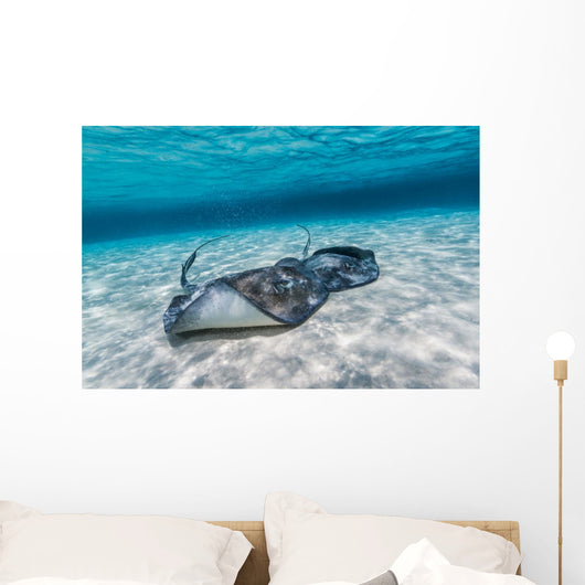 Southern Stingrays Sandbar Wall Decal