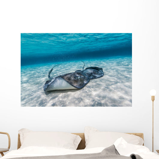 Southern Stingrays Sandbar Wall Decal