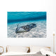 Southern Stingrays Sandbar Wall Decal