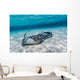 Southern Stingrays Sandbar Wall Decal