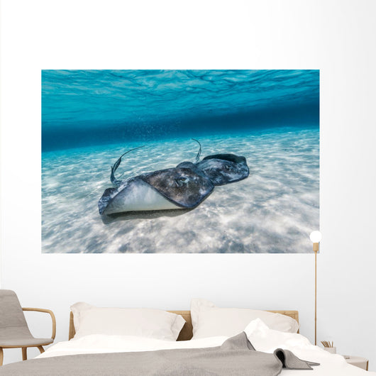 Southern Stingrays Sandbar Wall Decal