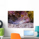 Spotted Goby Seafloor Grand Wall Decal