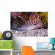 Spotted Goby Seafloor Grand Wall Decal