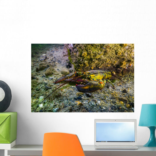 American Lobster New Hampshire Wall Decal
