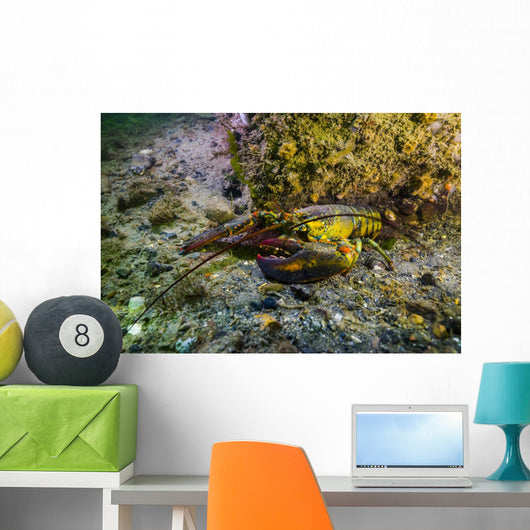 American Lobster New Hampshire Wall Decal
