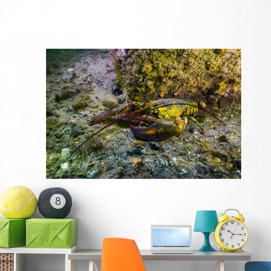 American Lobster New Hampshire Wall Decal