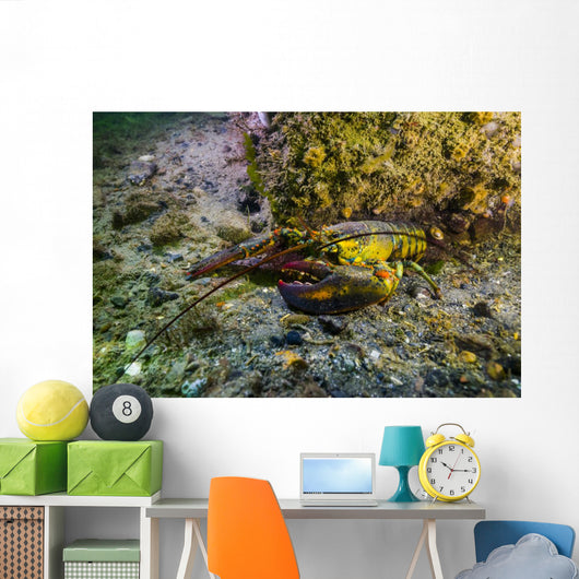 American Lobster New Hampshire Wall Decal