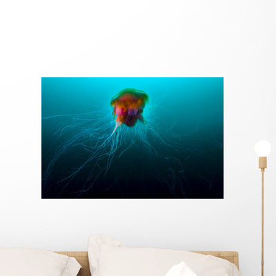 Lion's Mane Jellyfish Rise Wall Decal shown on a wall