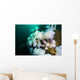 Plumose Anemone's Grow Bottom Wall Decal