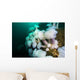 Plumose Anemone's Grow Bottom Wall Decal