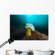 Giant Plumose Anemone Anchors Wall Decal