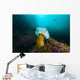 Giant Plumose Anemone Anchors Wall Decal