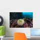 Anemone Grows Rocks Marys Wall Decal